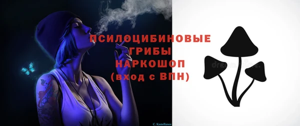 дурь Алзамай