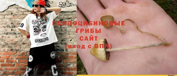 дурь Алзамай
