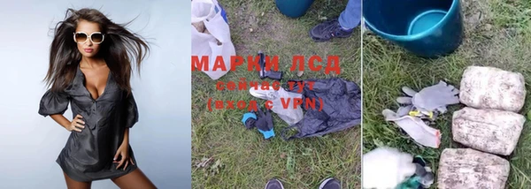 дурь Алзамай