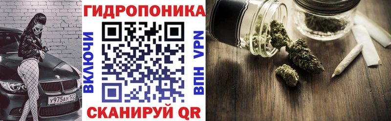 купить  сайты  MEGA ссылки  Бошки Шишки марихуана  Дубовка 